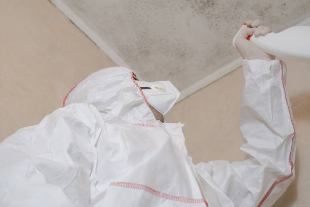 Best Attic Mold Removal  in Evansburg, PA