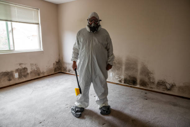 Best Mold Remediation  in Evansburg, PA